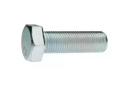 Болт М10х30х1,25 (8,8)
